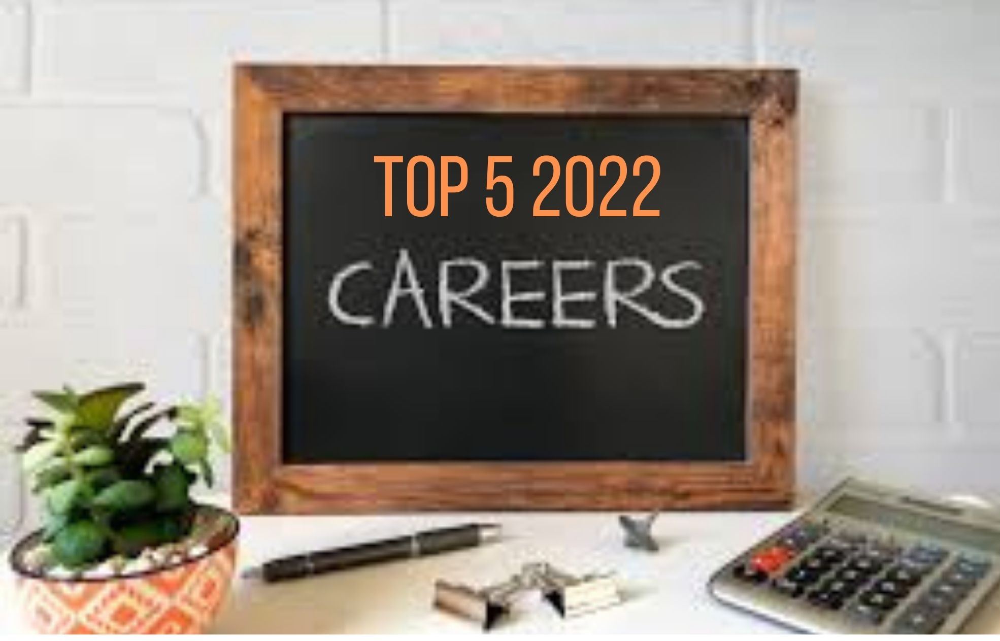 lysere bison Færøerne Top 5 Growing Career Fields In 2022 – Forbes – Option 1 Staffing